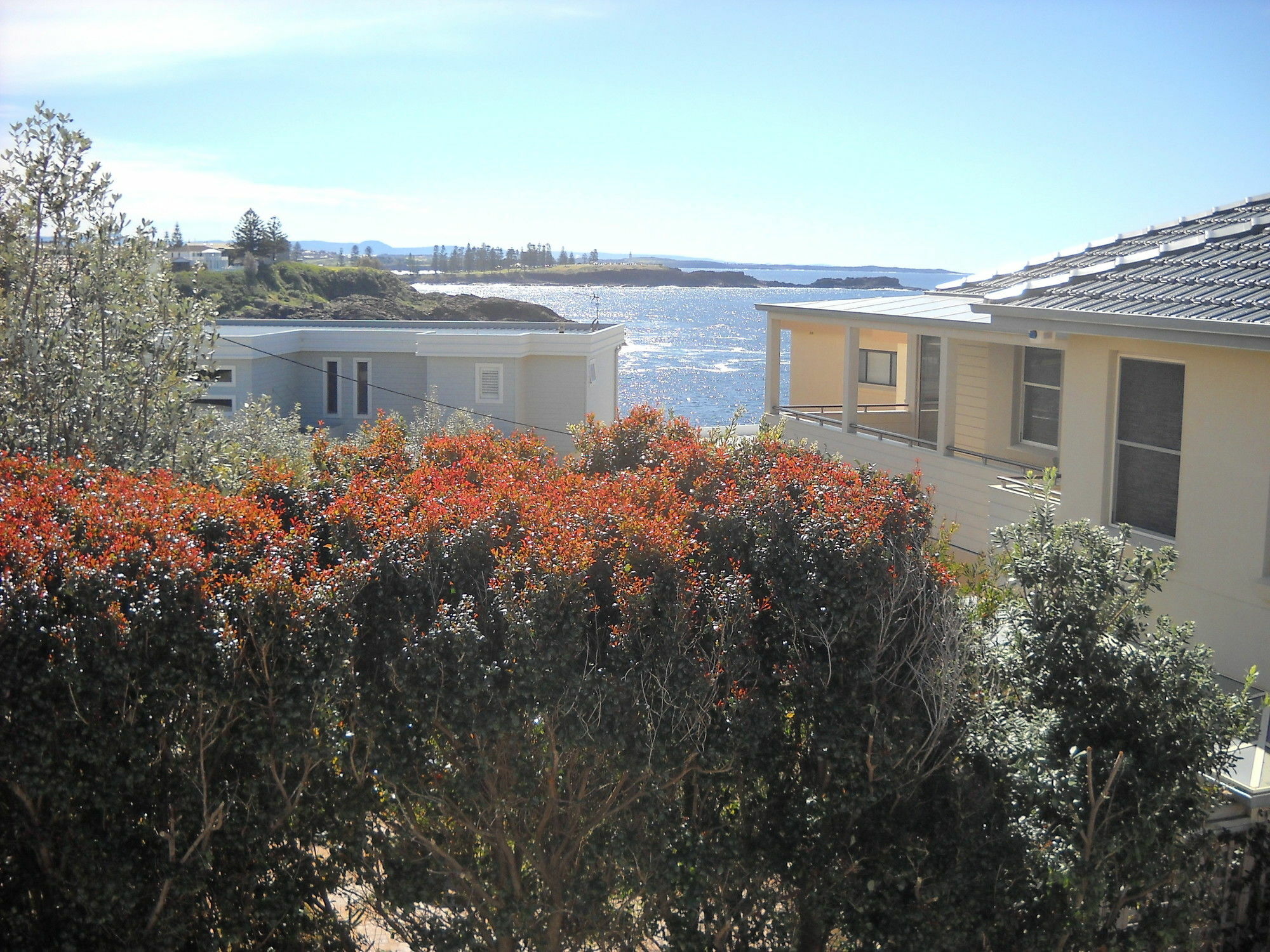 Shutters By The Sea Kiama-Sea Views-Waterfront-Private On Coastal Walk Exteriér fotografie